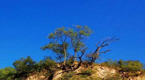 陕西爱旅游—北线红色文化二日游